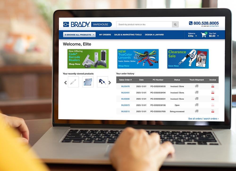 women using laptop computer